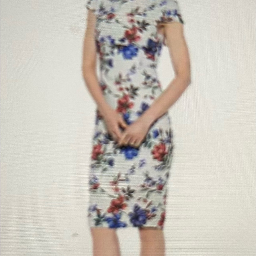 ALEXIA ADMORE Pale Green Cap Sleeve Sheath Midi w/Red & Blue Blooms. Sz: 8. $48. - Picture 2 of 7